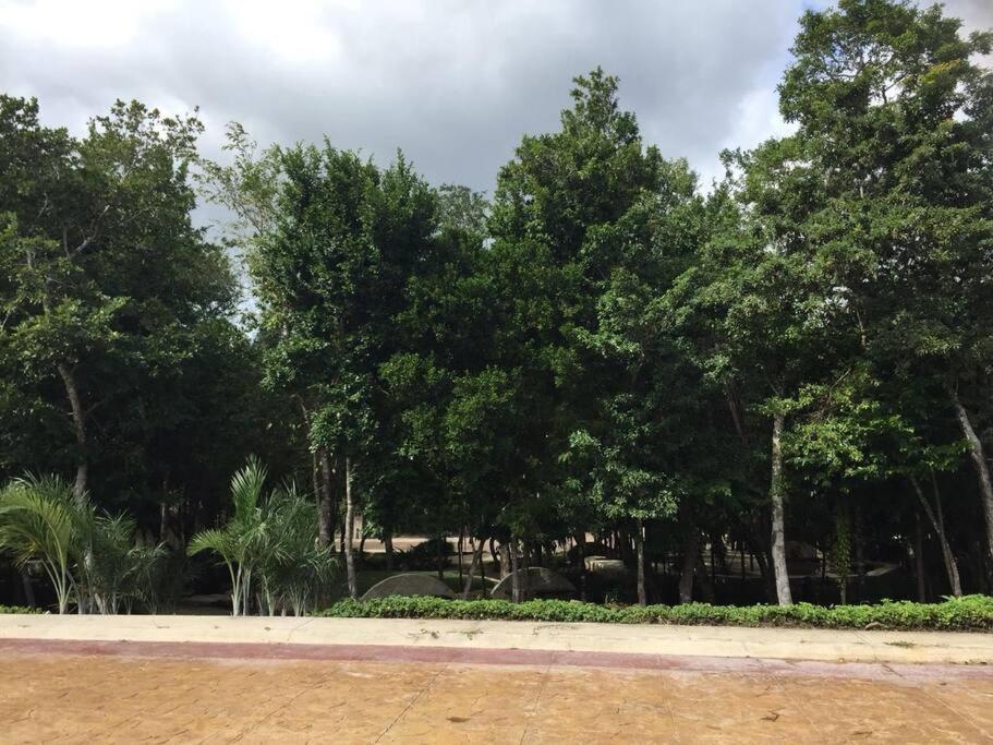 Casa Privada En 푸에르토 모렐로스 외부 사진